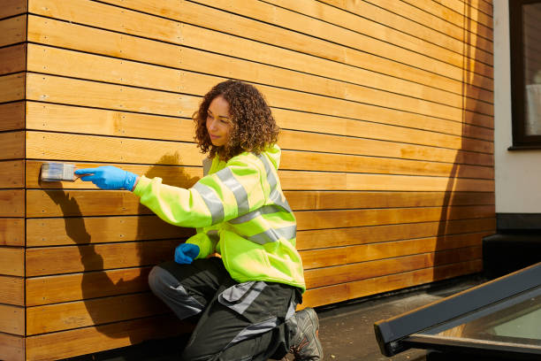 Best Stone Veneer Siding  in Catlettsburg, KY